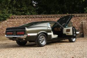 Image 41/50 of Ford Shelby GT 500 (1969)
