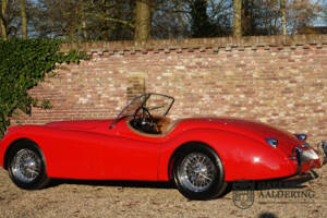 Bild 13/50 von Jaguar XK 120 SE OTS (1954)