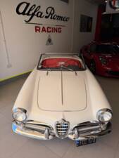Image 42/72 of Alfa Romeo Giulietta Spider (1957)