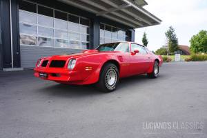 Bild 2/64 von Pontiac Firebird TransAm (1976)