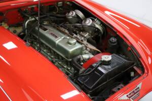 Image 34/50 of Austin-Healey 3000 Mk III (BJ8) (1964)