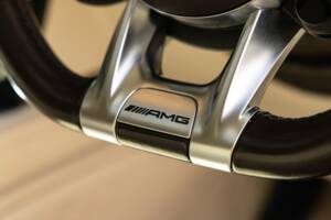 Image 39/50 of Mercedes-Benz G 63 AMG (LWB) (2020)