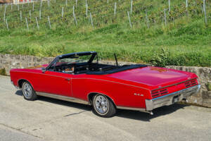 Immagine 6/15 di Pontiac GTO (1967)