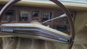 Image 17/34 of Lincoln Continental Mark IV (1974)