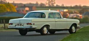 Image 11/50 of Mercedes-Benz 280 SE (1971)