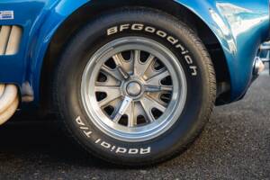 Image 14/68 of Shelby Cobra 289 (1966)