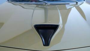 Bild 14/68 von Alfa Romeo Montreal (1973)
