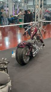 Bild 7/15 von Harley-Davidson DUMMY (2007)