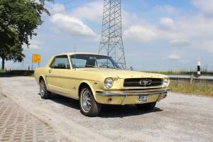 Image 1/20 of Ford Mustang 260 (1964)