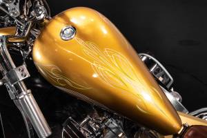 Bild 19/38 von Harley-Davidson DUMMY (2009)