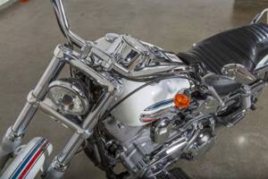 Image 16/31 of Harley-Davidson DUMMY (2005)