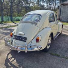 Bild 5/140 von Volkswagen Käfer 1200 Export "Dickholmer" (1963)