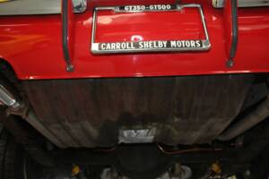 Bild 42/50 von Ford Shelby GT 350 (1968)