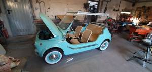Afbeelding 29/50 van FIAT Ghia 500 Jolly (1969)