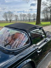 Image 12/25 of Triumph TR 250 (1968)