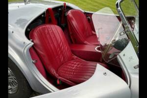 Bild 17/24 von AC Cobra 289 (2001)