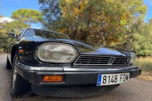 Image 6/47 of Jaguar XJ-S 3.6 (1988)