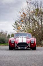 Afbeelding 7/50 van AC Cobra 289 (2000)