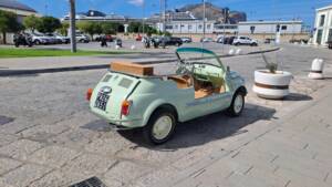 Image 29/73 of FIAT Ghia 500 Jolly (1970)