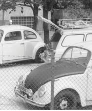 Image 71/81 of Volkswagen Beetle OKRASA TSV 1300&#x2F;34 (1963)