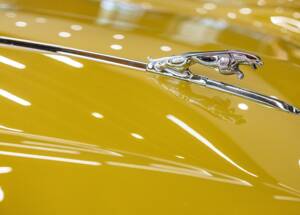 Image 34/50 de Jaguar XJ 6 C 4.2 (1975)