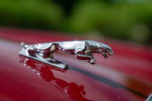 Image 21/50 of Jaguar XJ 6 4.2 (1981)