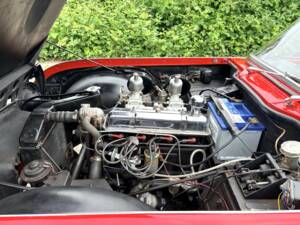 Immagine 16/50 di Triumph TR 4 (1961)