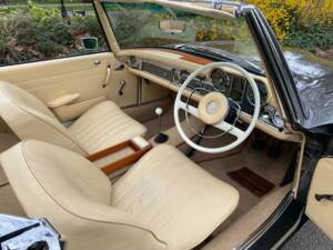 Afbeelding 3/50 van Mercedes-Benz 280 M-SL (1964)