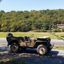 Bild 3/16 von Willys MB (1943)