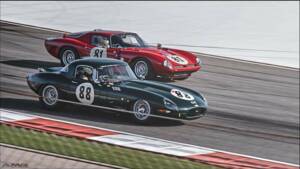 Bild 14/19 von Jaguar E-Type "Lightweight" (1961)