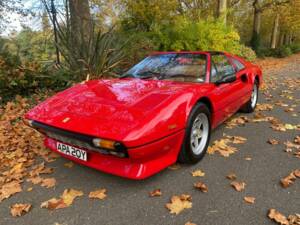 Immagine 44/50 di Ferrari 308 GTS Quattrovalvole (1983)