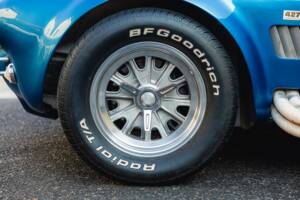 Image 12/68 of Shelby Cobra 289 (1966)