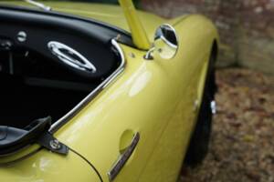 Bild 27/50 von Austin-Healey 3000 Mk I (BN7) (1960)