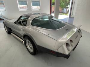 Bild 7/40 von Chevrolet Corvette 25th Anniversary (1978)