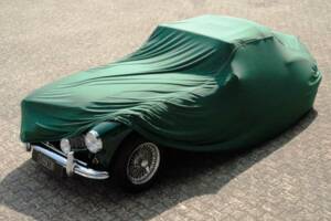 Image 19/40 of Austin-Healey 3000 Mk II (BT7) (1961)