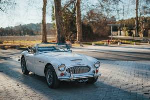 Bild 7/44 von Austin-Healey 3000 Mk III (BJ8) (1966)
