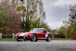 Afbeelding 24/50 van AC Cobra 289 (2000)