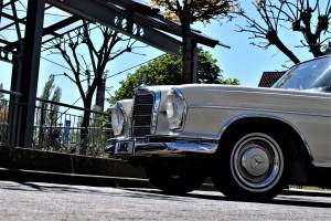 Imagen 10/98 de Mercedes-Benz 300 SE (1966)