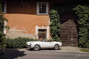 Bild 68/71 von Alfa Romeo Giulietta Spider (1960)