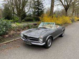 Afbeelding 48/50 van Mercedes-Benz 280 M-SL (1964)
