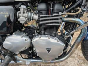 Bild 3/24 von Triumph DUMMY (2009)