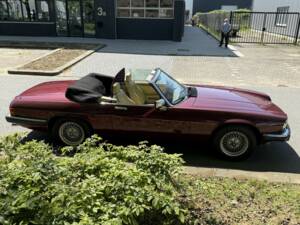 Bild 5/17 von Jaguar XJS 5.3 V12 (1989)