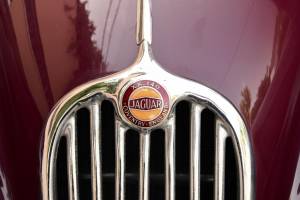 Immagine 16/40 di Jaguar XK 140 DHC (1957)
