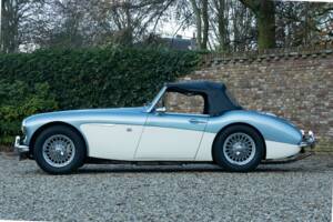 Bild 43/50 von Austin-Healey 3000 Mk I (BN7) (1960)