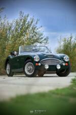 Image 68/68 of Austin-Healey 3000 Mk III (BJ8) (1966)
