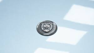 Immagine 12/15 di Jaguar XJS 5.3 V12 (1990)