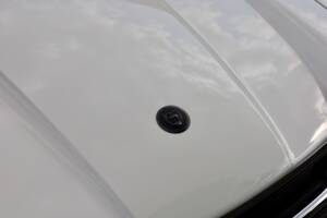 Image 20/29 of Jaguar XJS 4.0 (1991)