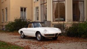 Image 2/50 de Alfa Romeo 1600 Spider Duetto (1967)