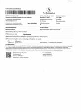 Bild 61/62 von Peugeot 505 Break 4x4 Dangel (1988)