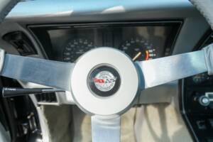 Image 32/50 of Chevrolet Corvette Indy Pace Car (1978)